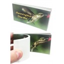 Hummingbird Animated Flip Book Slow-Mo