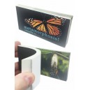 Butterfly Transforms Animated Flip Book