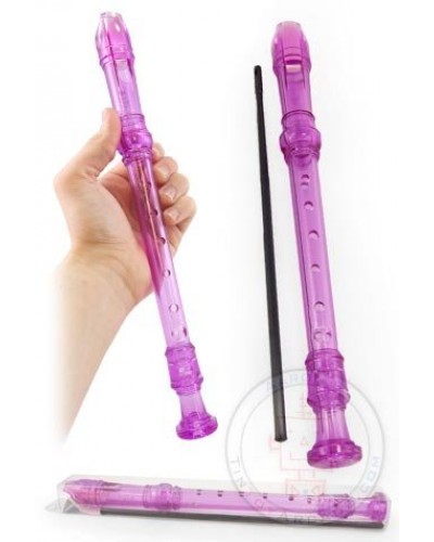 Purple Recorder Clear Musical Flute